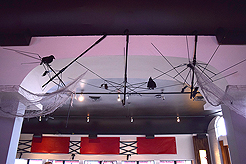 WATERCRESS HALLOWEEN